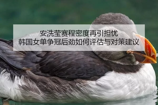 安洗莹赛程密度再引担忧 韩国女单争冠后劲如何评估与对策建议